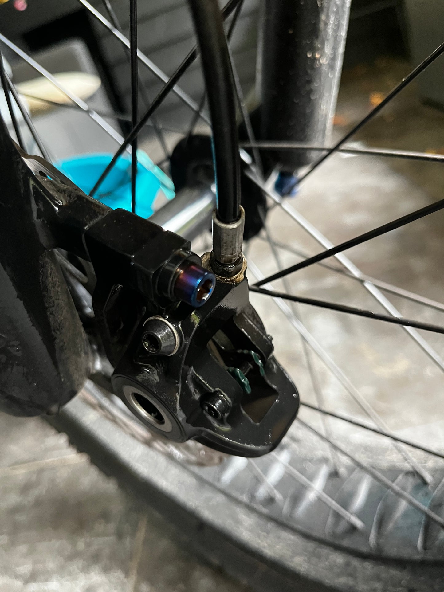 titanium bolts (3pcs)